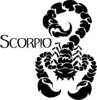 I-scorpio-I's Foto