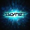 Skynet's Photo